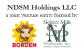 NDSM Holdings LLC Logo