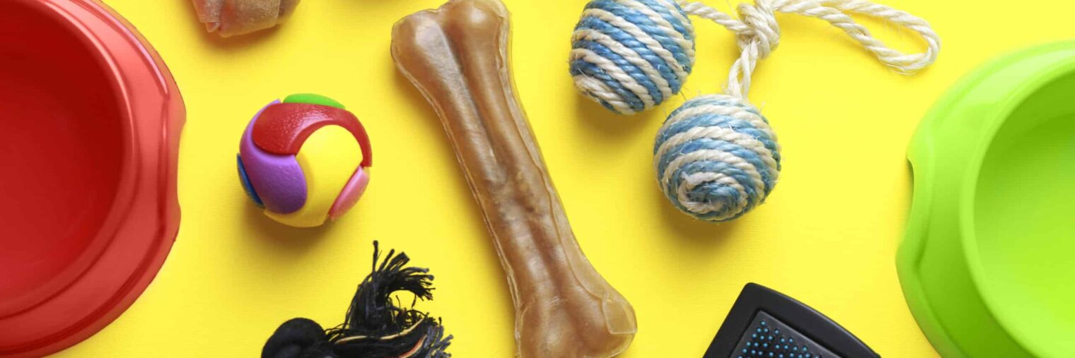 Assorted pet supplies including balls, bowls, a bone, toy rope, brush, collar, and chew toys arranged on a yellow background—perfect for anyone in the Pet Sector looking for quality essentials.
