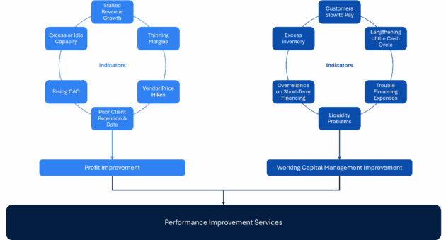 Flowchart showing two performance improvement cycles: one for profit improvement and one for working capital, each listing related indicators and linking to performance improvement services.