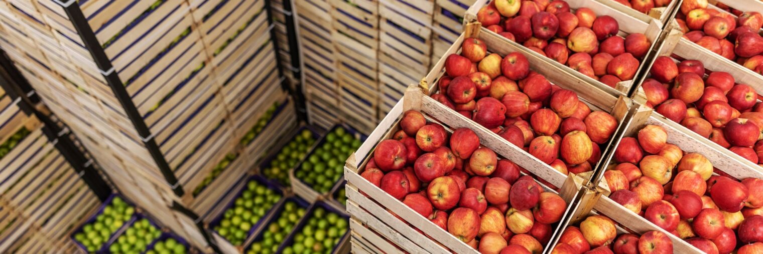 Wooden crates filled with red and green apples are stacked in a warehouse, viewed from above—a colorful scene reminiscent of food mergers bringing together the best of both varieties.